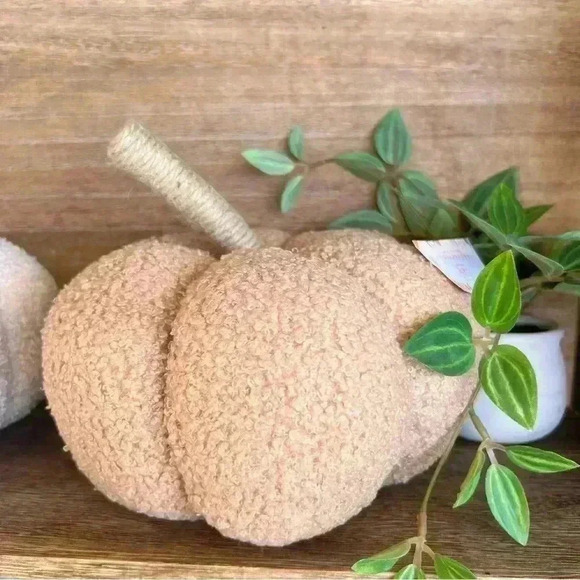 NEW Teddy Bear Fuzzy Pumpkin Fall Home Decor - So Soft and So Stinking Cute! - Picture 5 of 7